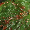 미향반찬 이미지