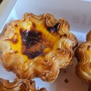 에그트리 | 마카오 폴로공장 방문 쇼핑 후기 그리고 근처 피그트리 FIGTREE 인생 에그타르트 강추