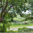 아란농장 이미지