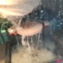 IN 치과기공소 네이버블로그