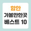 낙동강생태문화탐방로 | 함안 가볼만한곳 베스트10