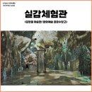 씨유제주문화예술점 | 제주 미디어아트 문화예술 공공수장고, 김창열미술관 실감체험