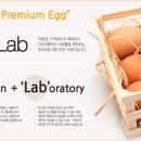 더건강한LAB