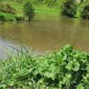 청도천7 이미지