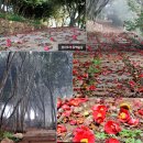 교대역 13번출구 뒤 1 이미지