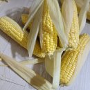 대의상회 이미지