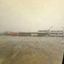 조진사고가 | [일상] 아, 골프란 (호이아나 골프장 라운딩 후기)