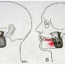 성가한의원 이미지