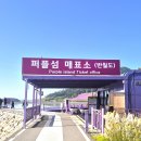 옥도