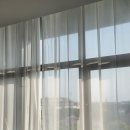 용호초교 | [중국] 상하이 3박 4일 여행기 4일차