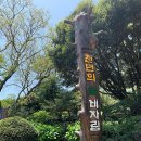 2021.5월의 제주도투어&amp; 나의 백깡후기 &gt;&lt;
