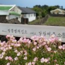 별똥별펜션 이미지