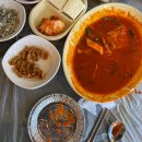 해물마을 | 군산 은파호수공원 벚꽃축제 후기｜개화상황,물빛마을 해물파전 솔직리뷰