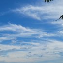 창조부동산중개사무소 이미지