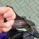 성우사우나 이미지