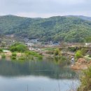 산호야관광농원 | 구미 산호야 관광농원 캠핑장 대원 저수지 붕어낚시