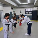 용인대 바른 태권도장 이미지