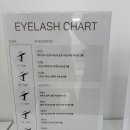 미대언니 이미지