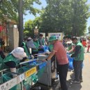 곡성세계장미축제장 이미지