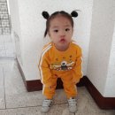 개천장 이미지