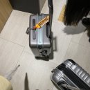 돈내코로95 | 제주도 2박3일 서귀포 여행일정 우정 임산부 태교여행 2일차 “아쿠아플라넷,성산일출봉맛집,감귤따기...
