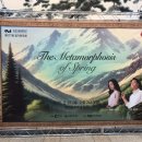 제177회 정기연주회 | 2025.2.27 춘천시향 제177회 정기연주회 - 김수연과 송유진