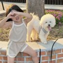 <b>마이</b>브랜드셋업+빕/안녕<b>바니</b>네임택택/무료배송팁/키즈휴가룩/어린이집토끼자수네임택/안녕자수