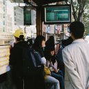 모산목장 이미지