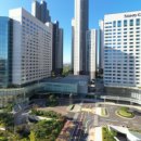 소노캄 고양 이미지