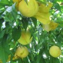 남성동019 이미지