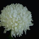 전라남도 순천의료원 이미지