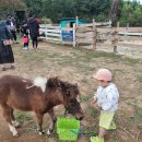 인우목장 이미지