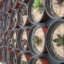 광영농장 이미지