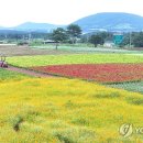 성읍리-23 이미지