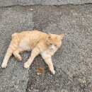 진성민박 이미지