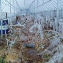 원일농장 이미지