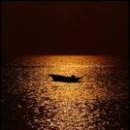 강가에서 이미지