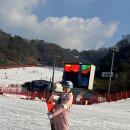 비발디파크