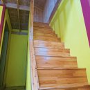 아침에 새소리 이미지