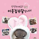 수달수영장 이미지