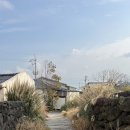 금능서시 이미지