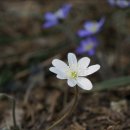 기운농장 이미지