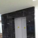 그라지오 이미지