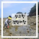 당진유치원 | 당진 장고항 갯벌체험 후기｜유치원 아이들과 게·소라게 잡기 좋은 당진 아이와 가볼만한곳