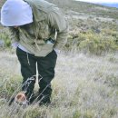 강북동물병원 이미지