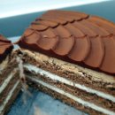 카카오공오삼(CACAO053)