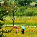 밀양아리랑오토캠핑장 이미지