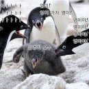 영미광고 이미지