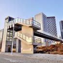 대덕사회인야구장 이미지