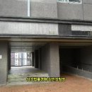동부DC마트 네이버블로그